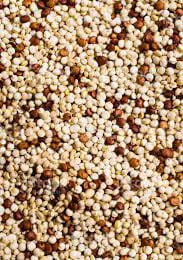 407-QUINOA MISTA GRÃO